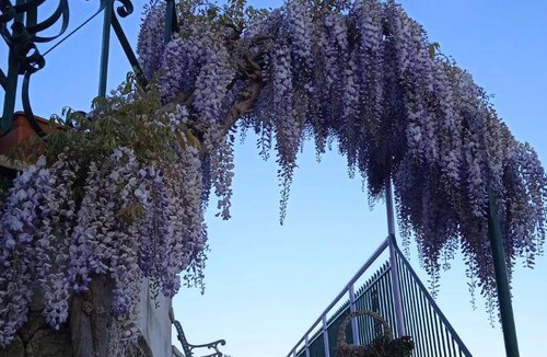 San Michele Bed & Breakfast | 60 m² Bed and breakfast ∙ 2 bedrooms ∙ 4 guests