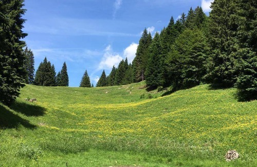 Pieve di Bono-Prezzo Apartment | 80 m² Apartment ∙ 2 bedrooms ∙ 5 guests