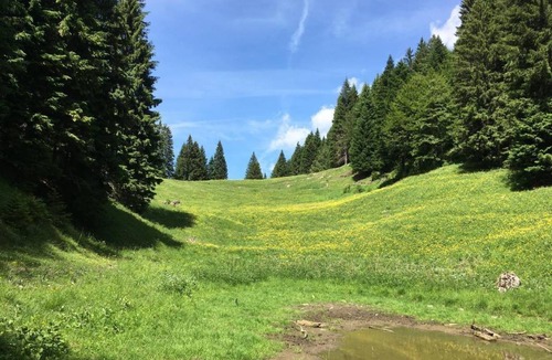 Pieve di Bono-Prezzo Apartment | 80 m² Apartment ∙ 2 bedrooms ∙ 5 guests
