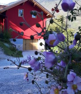 Spormaggiore Bed & Breakfast | Activity Appartamento Vacanze
