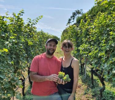 Ville del Monte House | Agritur Calvola
