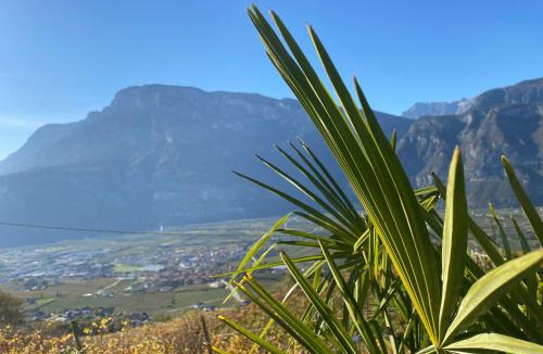 Lavis Apartment | Agritur Chalet Belvedere