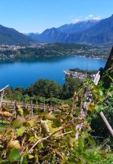 Bosentino Bed & Breakfast | Agritur Maso Flonkeri