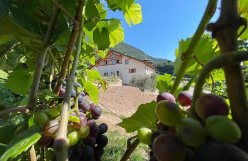 Giovo House | Agriturismo Maso San Valentino