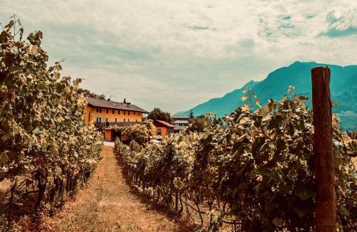 Martignano House | Agriturismo Mas dei Chini