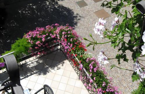 Tassullo House | Agriturismo Odorizzi