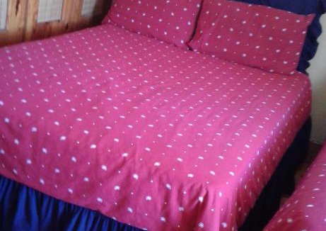 Scottsville House | Aloe Bnb