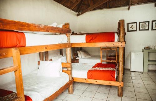 Ethels Drive Hostel | Amphitheatre Backpackers Lodge