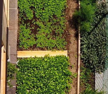 Baselga di Pine Apartment | ANESI appartamenti