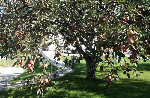 Sedico Bed & Breakfast | Antico Melo B&B