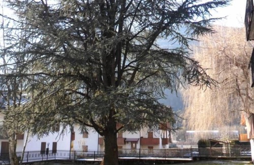 Giustino Apartment | Apartment/flat - Pinzolo