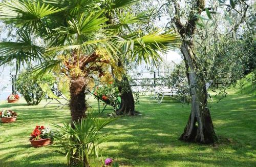 Bolognano-Vignole Apartment | Apartments Casa Tamas, Limone