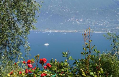 Bolognano-Vignole Apartment | Apartments Casa Tamas, Limone