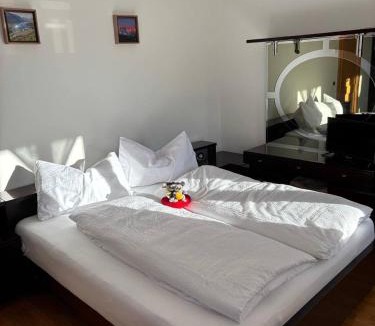 San Lorenzo in Banale Apartment | Appartamento Bosco al Sole