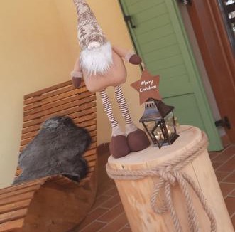 Fai della Paganella Apartment | Appartamenti Paolo