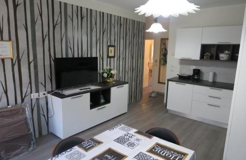 Molina di Ledro Apartment | Appartamento Aila