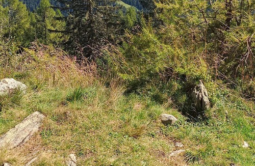 Canal San Bovo Apartment | appartamento immerso nel verde delle dolomiti