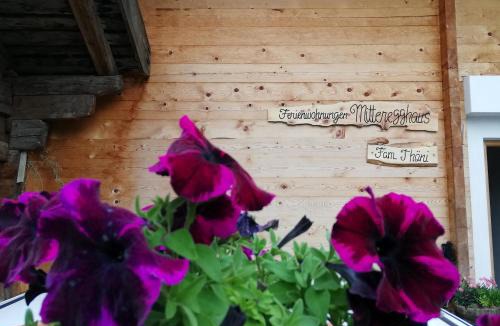 Ultimo Apartment | Appartements Mitteregghaus