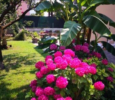 Bolognano-Vignole Bed & Breakfast | B&B Esmeralda