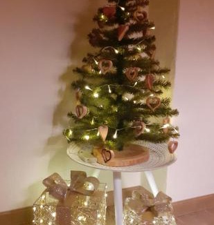 Santo Stefano di Cadore Bed & Breakfast | B&B IL BUCANEVE