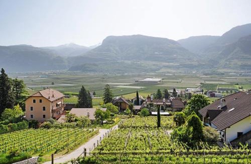 Tramin Apartment | Bacchushof Apartment Sauvignon