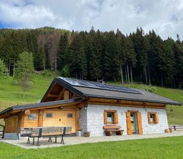 Pieve Tesino Ski Chalet | BAITA ELIO - 022142-AT-010446