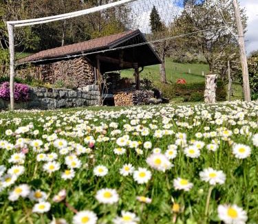 Strigno Ski Chalet | Baita Miralefre