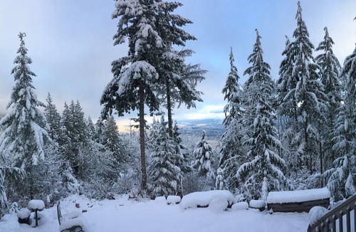 Arlington Cabin | Beautiful, peaceful mountain view cabin.