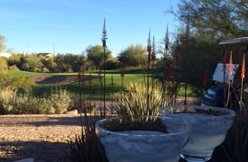 Gold Canyon House | Beautiful Townhome on Dinosaur Mountain Golf Course!