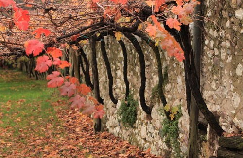 Rovereto Bed & Breakfast | Biker's Wine House