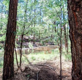Pinetop-Lakeside House | Billy Creek Luxury Lodge on the creek - Sleeps 18!