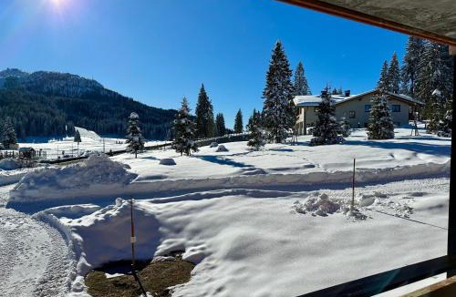 Campo Carlo Magno Apartment | Bilocale Rio Falzè - Serafini