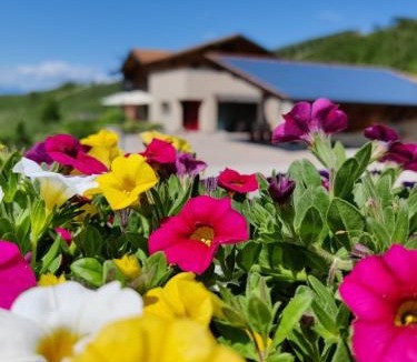 Spormaggiore House | Bio Agritur al Bait