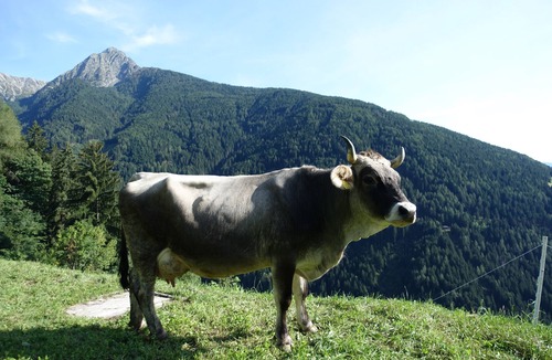 Rissa House | Boarbichl vacation apartment - your time-out in fresh, pure mountain air