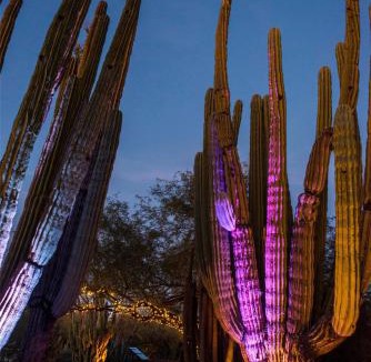 The Boulders Resort | Boulders Resort & Spa Scottsdale, Curio Collection by Hilton
