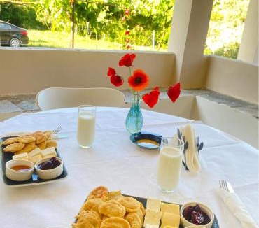 Koman Cabin | Breeze of the Drin Guesthouse Camping