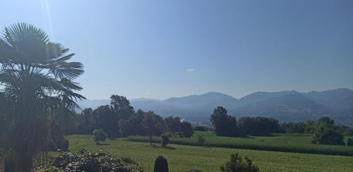 Belluno House | Ca Blanca Rooms