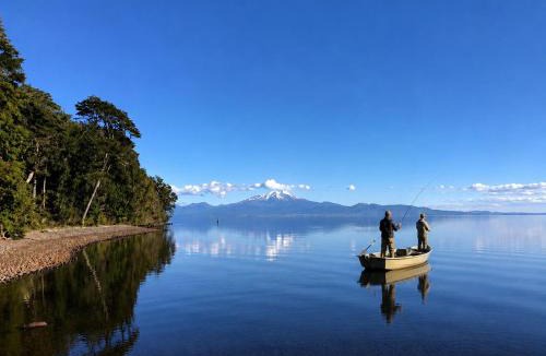 Puerto Octay Cabin | Calma Lodge