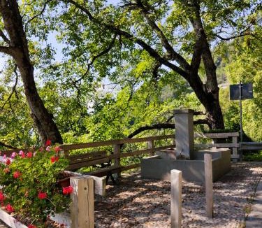 Vignola-Falesina Apartment | Casa alla Fontana