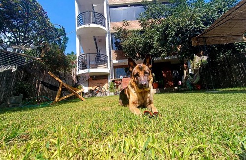 Lunahuana Apartment | Casa de Campo en Lunahuaná con jardin amplio para Familias y Amigos