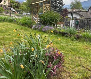 Castello-Molina di Fiemme Apartment | Casa GOLLES - Val Di Fiemme