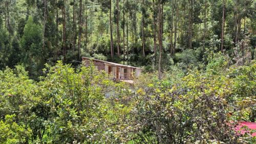 Lamay Bed & Breakfast | Casa Hospedaje Saywa