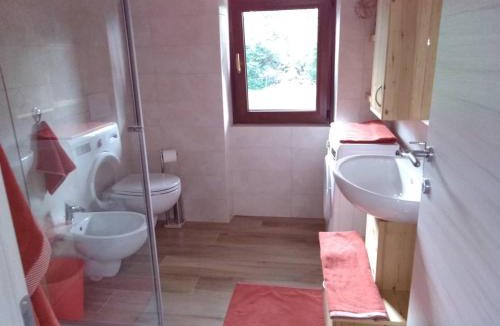Baselga di Pine House | Casa vacanze Insieme