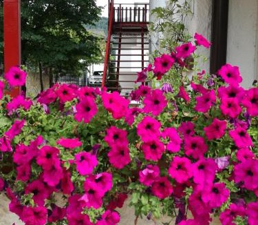 Pergine Valsugana Apartment | Casa Valcanover