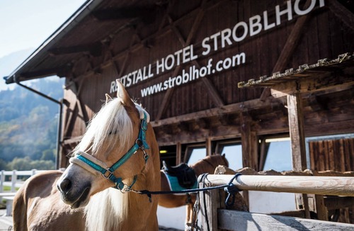 San Leonardo in Passiria Ski Chalet | Chalet Merino