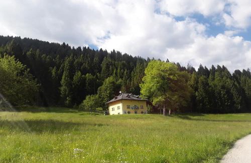 Telve Apartment | Chalet Musiera