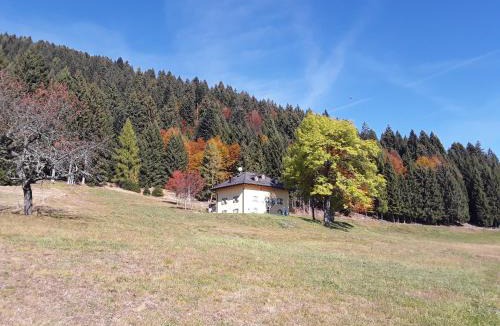 Telve Apartment | Chalet Musiera