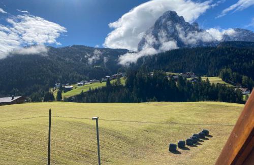 Selva di Val Gardena Apartment | Chalet Romy - AP Sasplat