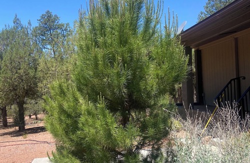 Star Valley House | Charming 3-bedroom country house with WiFi, AC in Star Valley
