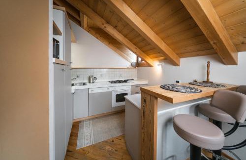 Moena Apartment | Ciasa Gianot - Shin